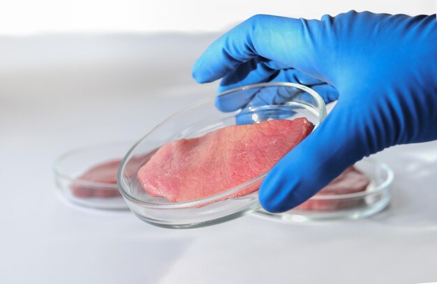 Foto mão segurando a bata de laboratório carne em uma placa de petri carne em placa de cultura de células de vidro células somáticas de animais cultivadas in vitro experimentam nova fonte de proteína