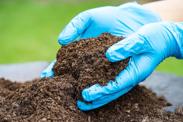 Mão segurando a matéria orgânica de musgo de turfa melhora o solo para o conceito de ecologia de cultivo de plantas orgânicas agrícolas