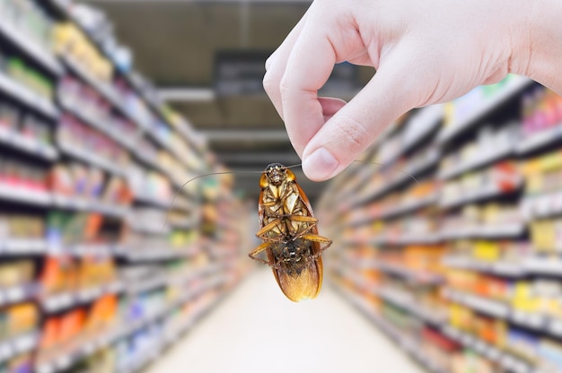 Mão segurando barata no supermercadoeliminar barata no shopping