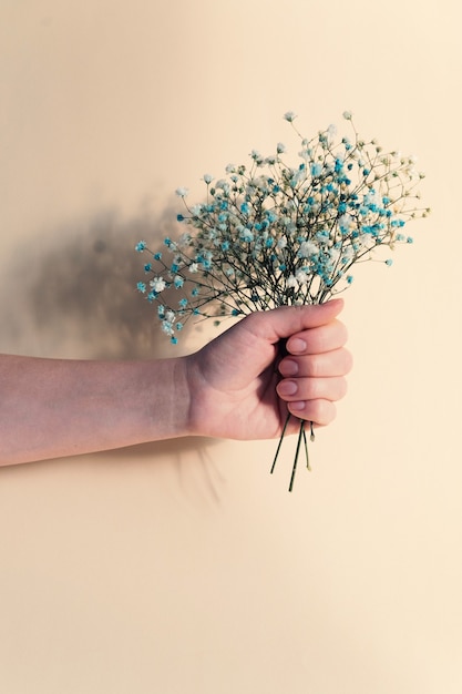 Mão segurando buquê de flores de gipsófila