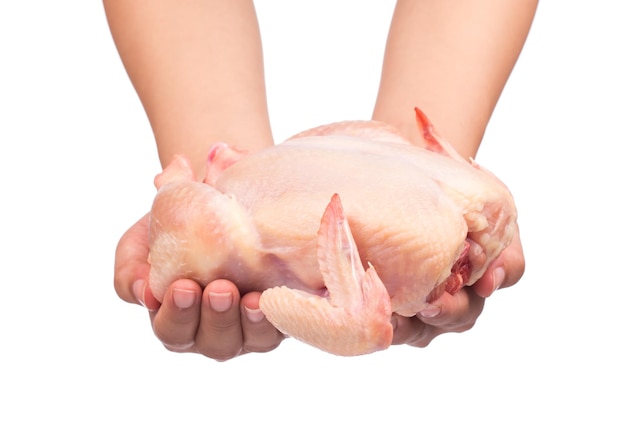 mão segurando frango cru isolado no fundo branco
