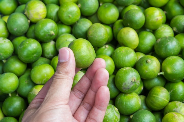 Mão segurando limão no mercado,