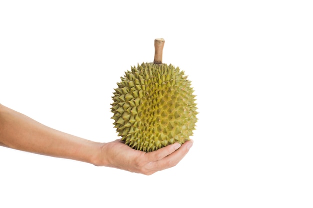 Foto mão, segurando, maduro, durian, fruta