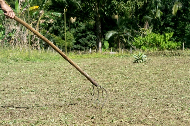 Mão segurando o ancinho no campo