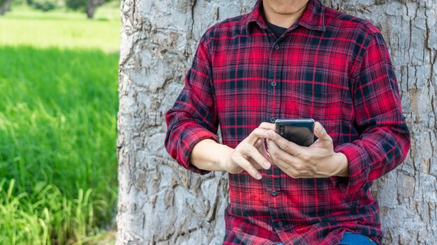 Mão segurando o smartphone com campo de arroz verde.