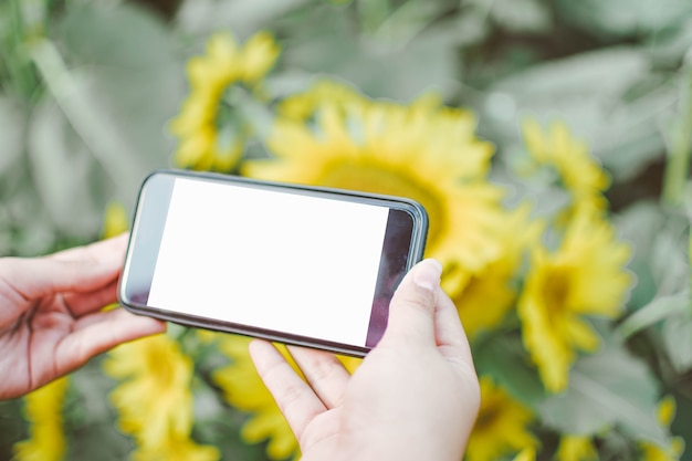 Mão segurando o smartphone com fundo de natureza.