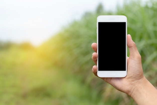 Mão segurando o smartphone no fundo da natureza.