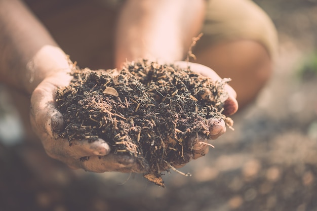 Foto mão segurando o solo misto para planta no jardim