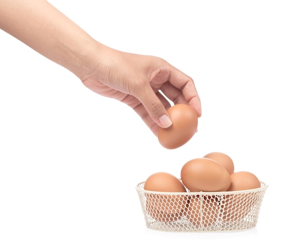 mão segurando os ovos na cesta isolada no fundo branco
