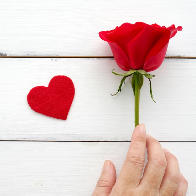 Foto mão segurando rosa vermelha e forma de coração de tecido no fundo de madeira branca