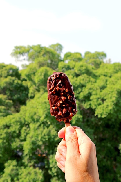 Mão segurando uma deliciosa barra de sorvete mergulhada em chocolate com folhagem verde no pano de fundo