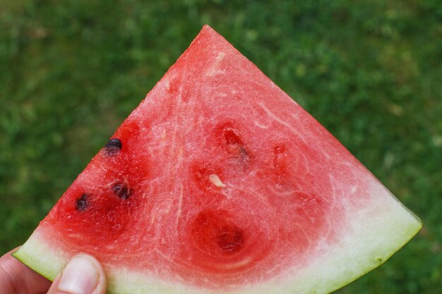 Mão segurando uma fatia de melancia isolada em um fundo verde fechar