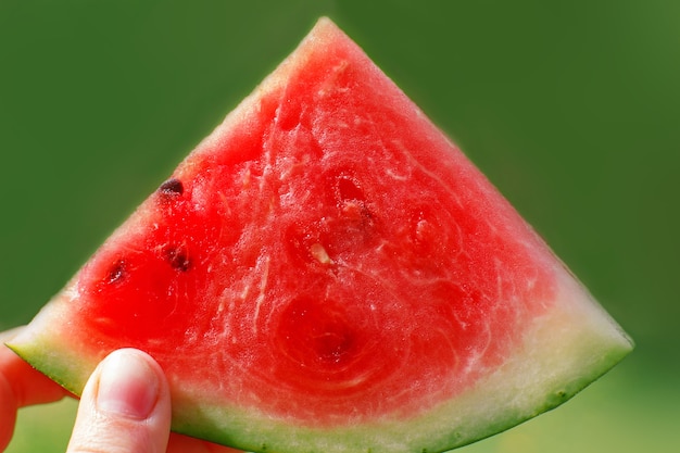 Mão segurando uma fatia de melancia isolada em um fundo verde fechar