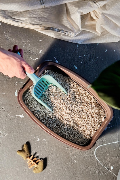 Mão segurando uma pá azul com areia de gato bege na caixa de areia para gatos no chão.