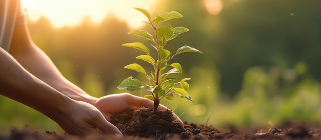 mão segurando uma planta jovem em desfoque verde natureza fundo conceito eco dia da terra