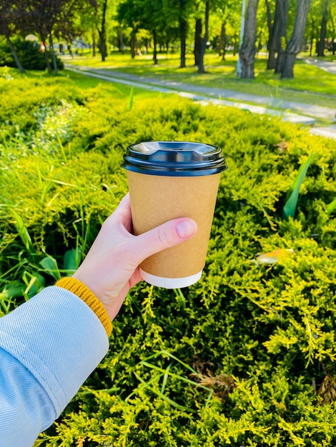 mão segurando uma xícara de café em um fundo de folhas verdes