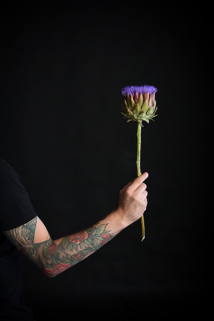 Mão tatuada de homem segurando flor de alcachofra roxa no preto, cartão comemorativo ou conceito