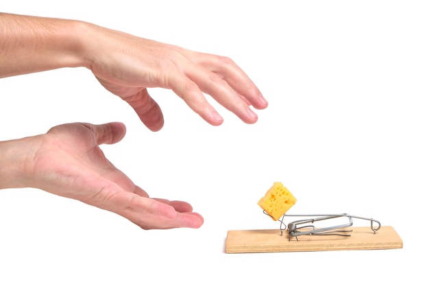 Mãos alcança queijo pedaço na ratoeira em um fundo branco. conceito de negócios, vida e trabalho duro e brindes.