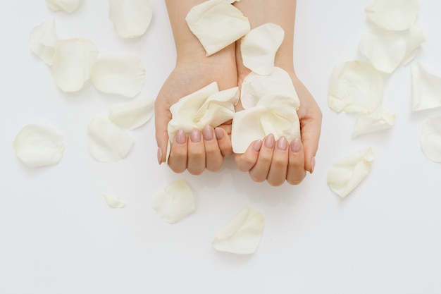 Mãos bonitas com manicure e pétalas de rosa brancas