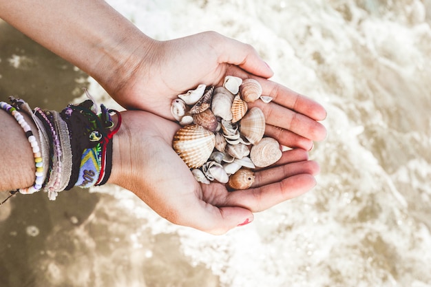 Mãos com conchas no mar