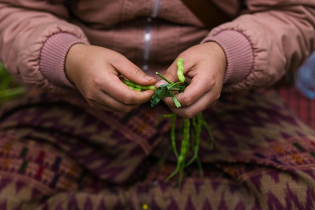 mãos com feijão verde em um mercado local na Ásia.