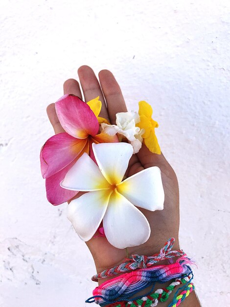 Mãos cortadas de mulher segurando flores contra a parede