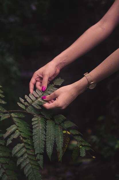 Foto mãos cortadas de mulher tocando folhas