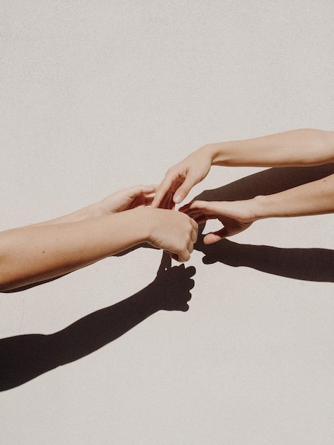 Mãos cortadas de mulheres contra a parede cinzenta