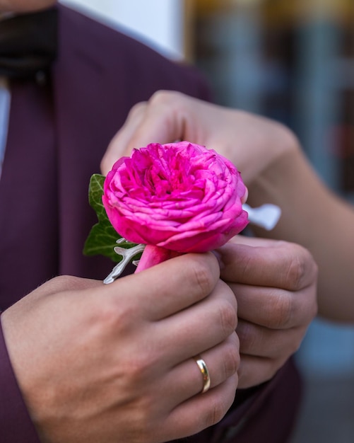 Foto mãos cortadas de um casal segurando uma flor rosa dentro de casa