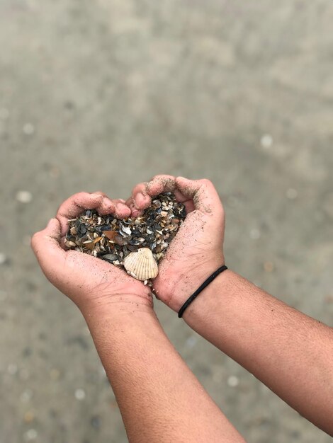 Foto mãos cortadas de um homem segurando conchas em forma de coração na praia