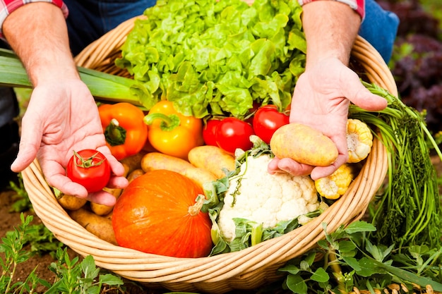 Mãos cortadas de um homem segurando legumes