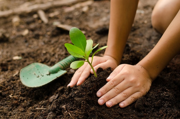 Foto mãos cortadas de uma criança plantando no campo