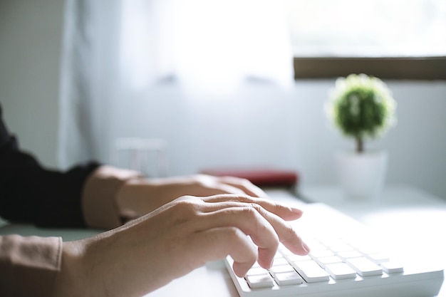 Mãos cortadas de uma mulher de negócios digitando no teclado no escritório