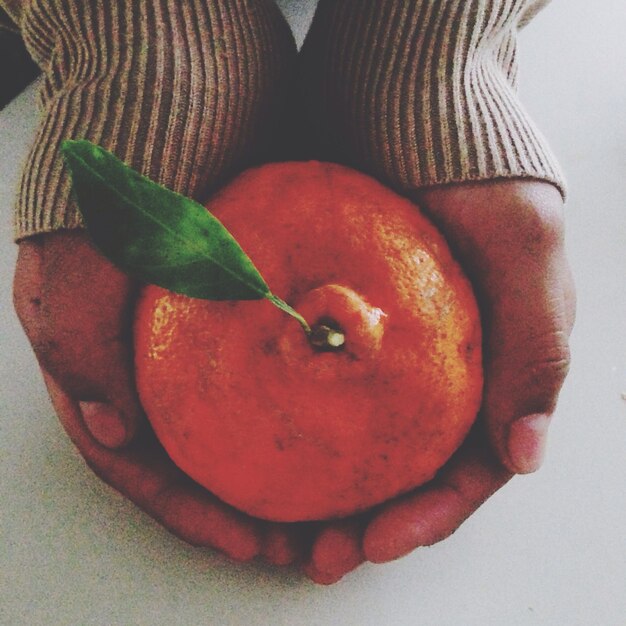 Foto mãos cortadas segurando frutas de laranja