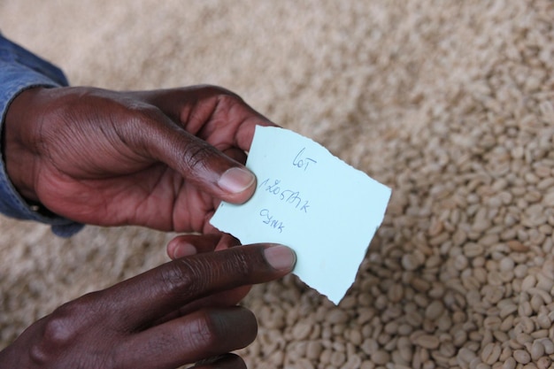 Mãos cortadas segurando papel com texto