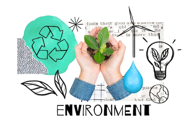 Mãos cupping planta png ambiente doodle remix fundo transparente
