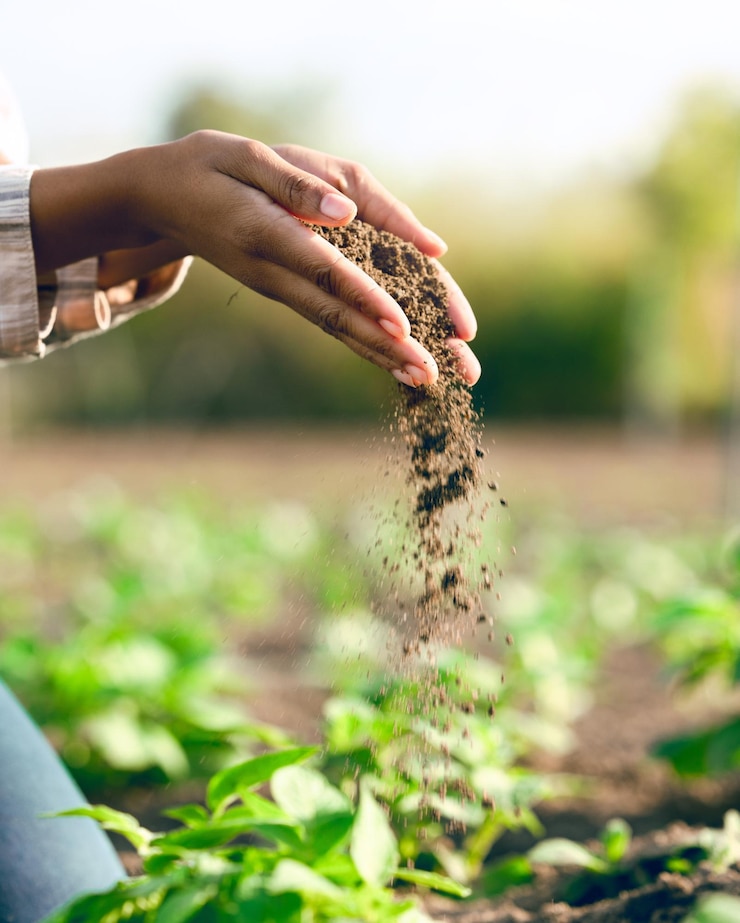 Foto mãos de agricultor e agricultura com sujeira ou poeira do solo para crescimento de plantas ou agricultura closeup terra de mulher negra e fazenda com terra de campo ou nutrição de solo para sustentabilidade, fertilidade e zoom