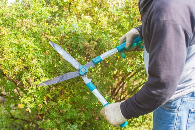 Mãos de agricultores que fazem poda de arbustos com grandes tesouras de jardim Ferramentas de jardinagem Conceito agrícola Temporada de agricultura