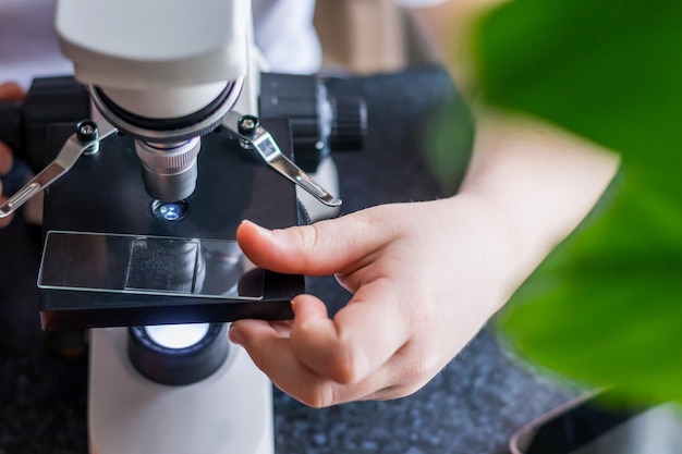 Mãos de criança instalando vidro com materiais de laboratório em microscópio para pesquisa. Educação Científica