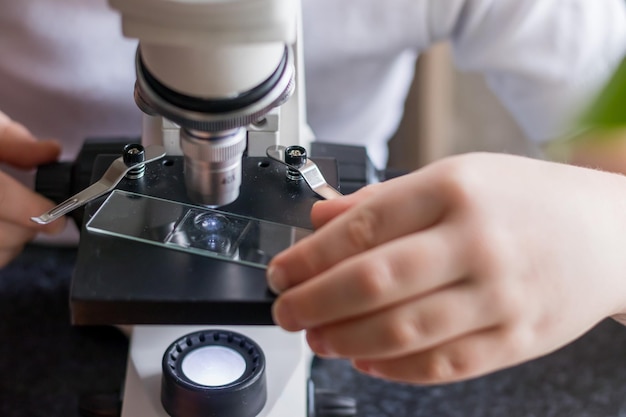 Mãos de criança instalando vidro com materiais de laboratório em microscópio para pesquisa. Educação Científica