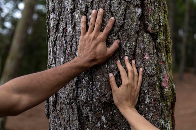 Mãos de dois jovens latino-americanos irreconhecíveis, sentindo a energia da árvore em uma floresta de pinheiros Conceito amor de aquecimento global pela percepção da vida da natureza