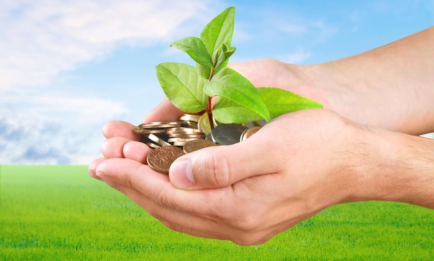 Mãos de jovem segurando uma planta verde e dinheiro