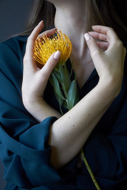 mãos de menina artística segurando um protea laranja