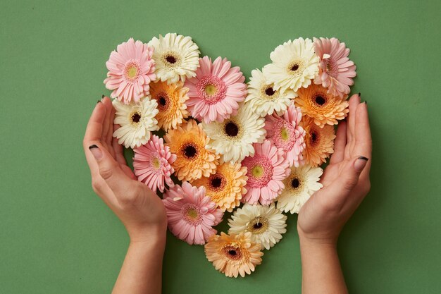 Mãos de menina segurando um coração de flores gérbera