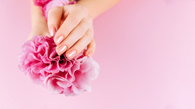 Mãos de mulher bonita com eustoma fresco. conceito de spa e manicure. mãos femininas com manicure rosa. conceito de pele suave. unhas de beleza.