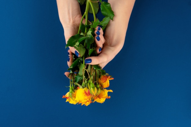 Mãos de mulher bonita com manicure segurando rosas contra fundo azul clássico