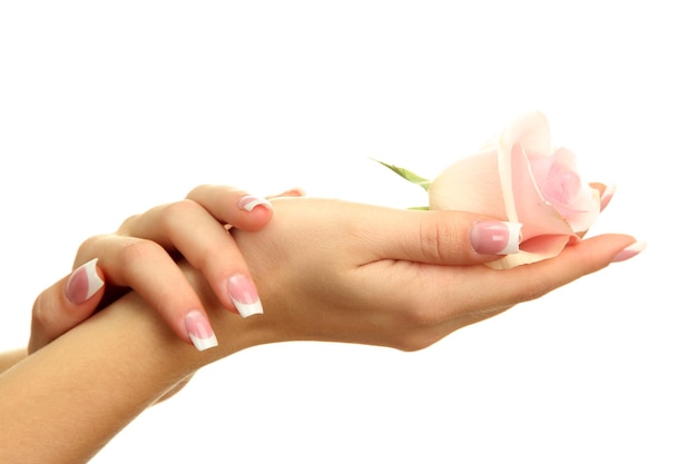 Foto mãos de mulher bonita com rosa isolada em branco
