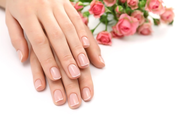 Mãos de mulher com linda manicure e rosas isoladas no fundo branco