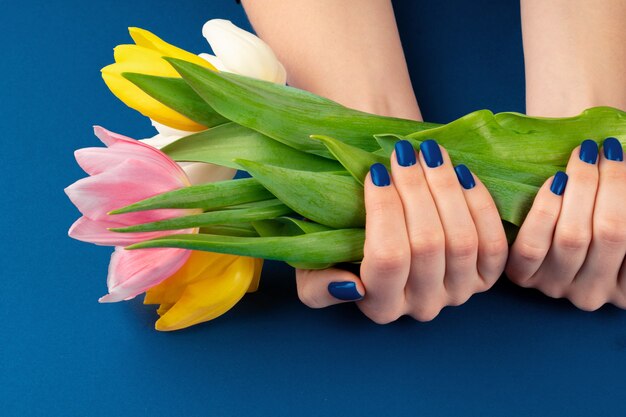 Mãos de mulher com manicure segurando tulipas coloridas sobre fundo azul