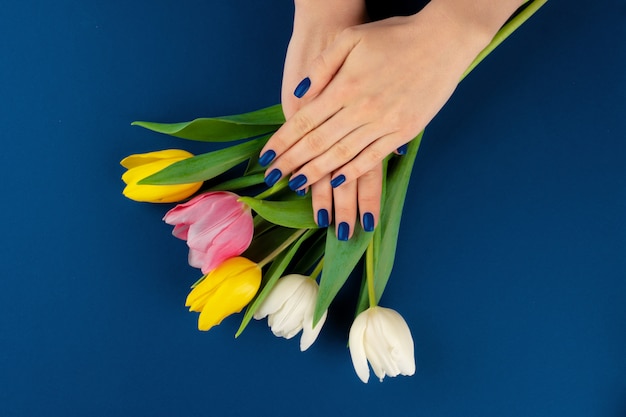 Mãos de mulher com manicure segurando tulipas coloridas sobre fundo azul